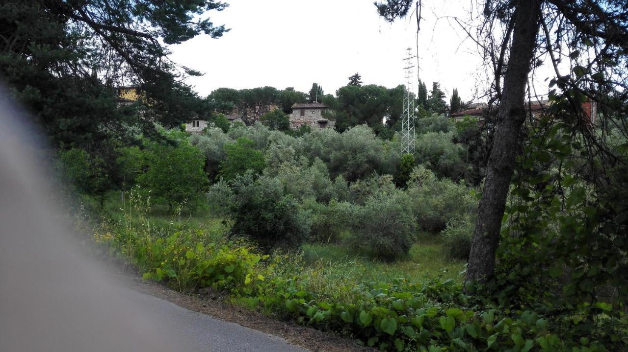Appartement Casa Lilio à Radda in Chianti Extérieur photo